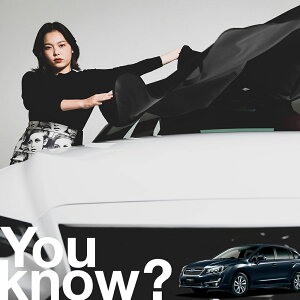 yԗpzAtgKX̓h~ CvbTX|[c GPn tgJo[ h~ TVF[h ʎ SUV V[g ԗpJo[  悯    Ԓ J[VF