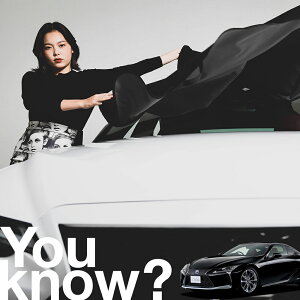 yԗpzAtgKX̓h~ NTX LC LC500 LC500h tgJo[ h~ TVF[h ʎ SUV V[g ԗpJo[  悯    Ԓ J[VF[h 