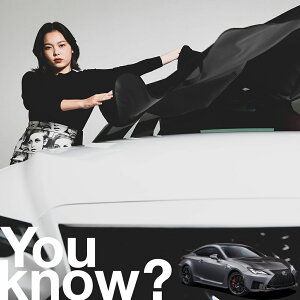 �y�����ԗp�z���A�t�����g�K���X�̓�����h�~ ���N�T�X RC F �t�����g�J�o�[ �����h�~ �T���V�F�[�h ���ʎ� SUV �V�[�g �ԗp�J�o�[ ������ ���悯 ����� �� �� �Ԓ��� �J�[�V�F�[�h �v���C�o