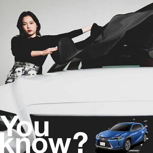 yԗpzAtgKX̓h~ NTX UX UX300e version L C tgJo[ h~ TVF[h ʎ SUV V[g ԗpJo[  悯    Ԓ J[VF[