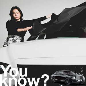 �y�����ԗp�z���A�t�����g�K���X�̓�����h�~ �x���g���[ �~�����U���k �t�����g�J�o�[ �����h�~ �T���V�F�[�h ���ʎ� SUV �V�[�g �ԗp�J�o�[ ������ ���悯 ����� �� �� �Ԓ��� �J�[�V�F�[