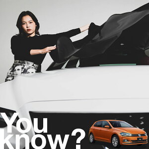 yԗpzAtgKX̓h~ | Polo Volkswagen VW tgJo[ h~ TVF[h ʎ SUV V[g ԗpJo[  悯    Ԓ J[VF[h v