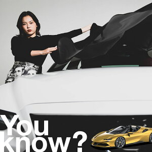 �y�����ԗp�z���A�t�����g�K���X�̓�����h�~ �t�F���[�� SF90 �X�p�C�_�[ �t�����g�J�o�[ �����h�~ �T���V�F�[�h ���ʎ� SUV �V�[�g �ԗp�J�o�[ ������ ���悯 ����� �� �� �Ԓ��� �J�[�V�F