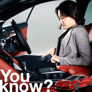 �y�����ԗp�z���A�t�����g�K���X�̓�����h�~ �t�F���[�� SF90 �X�g���_�[�� �t�����g�J�o�[ �����h�~ �T���V�F�[�h ���ʎ� SUV �V�[�g �ԗp�J�o�[ ������ ���悯 ����� �� �� �Ԓ��� �J�[�V