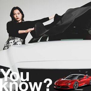 �y�����ԗp�z���A�t�����g�K���X�̓�����h�~ �t�F���[�� SF90 �X�g���_�[�� �t�����g�J�o�[ �����h�~ �T���V�F�[�h ���ʎ� SUV �V�[�g �ԗp�J�o�[ ������ ���悯 ����� �� �� �Ԓ��� �J�[�V