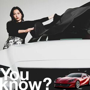 �y�����ԗp�z���A�t�����g�K���X�̓�����h�~ �t�F���[�� 812 �X�[�p�[�t�@�X�g �t�����g�J�o�[ �����h�~ �T���V�F�[�h ���ʎ� SUV �V�[�g �ԗp�J�o�[ ������ ���悯 ����� �� �� �Ԓ��� �J