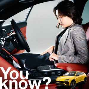 yԗpzAtgKX̓h~ {M[j EX URUS tgJo[ h~ TVF[h ʎ SUV V[g ԗpJo[  悯    Ԓ J[VF