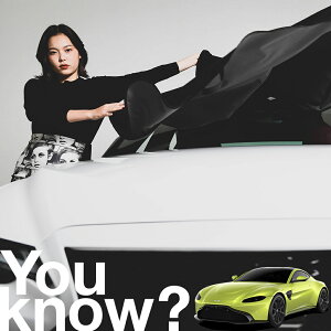 yԗpzAtgKX̓h~ AXg}[eB @e[W tgJo[ h~ TVF[h ʎ SUV V[g ԗpJo[  悯    Ԓ J