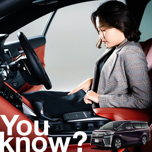 yԗpzAtgKX̓h~ Ft@CA 30n VELLFIRE tgJo[ h~ TVF[h ʎ SUV V[g ԗpJo[  悯    Ԓ J[VF