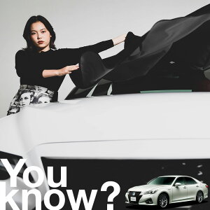 yԗpzAtgKX̓h~ NE GRS210 ARS210 tgJo[ h~ TVF[h ʎ SUV V[g ԗpJo[  悯    Ԓ J[VF[h v