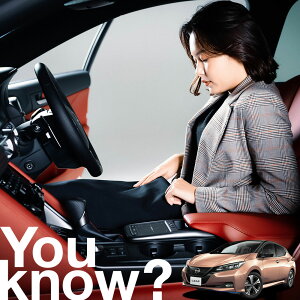 yԗpzAtgKX̓h~ [t ZE1^ LEAF NISMO jX tgJo[ h~ TVF[h ʎ SUV V[g ԗpJo[  悯    Ԓ J[VF