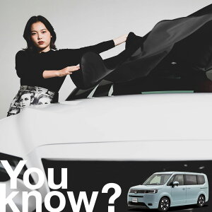 yԗpzAtgKX̓h~ XebvS RP6/8 AIR SPADA tgJo[ h~ TVF[h ʎ SUV V[g ԗpJo[  悯    Ԓ J[VF