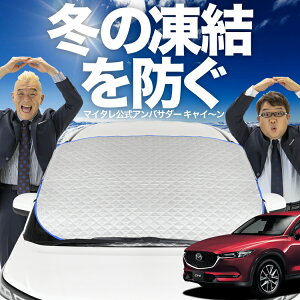 yh~͂ꂪԁz tgJo[ CX-5 KFn CX 5 tgKX h~ Jo[ h~ V[g tg TVF[h  悯 悯     O uv fM Ռ 
