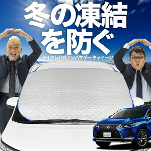 yh~͂ꂪԁz tgJo[ NTX RX450h RX300 RX AGL GYL 20W 25W tgKX h~ Jo[ h~ V[g tg TVF[h  悯 悯     