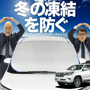 yh~͂ꂪԁz tgJo[ hN[U[ vh 150n N tgKX h~ Jo[ h~ V[g tg TVF[h  悯 悯  
