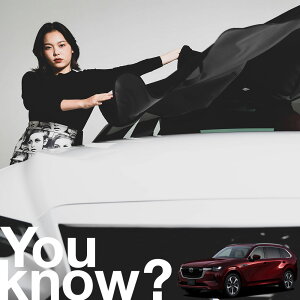 yԗpzAtgKX̓h~ }c_ CX-80 KL n CX 80 tgJo[ h~ TVF[h ʎ SUV V[g ԗpJo[  悯    Ԓ J[VF[h 