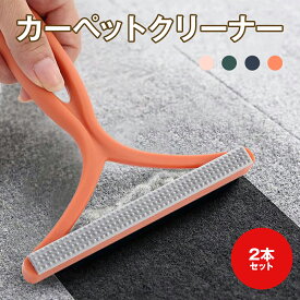 カーペットクリーナー 毛玉取りブラシ 2本セット ブラシ ペット 毛玉 掃除 抜け毛 猫 毛玉 犬 毛玉 コロコロ カーペット クリーナー 絨毯 簡単 抜け毛クリーナー 洋服ブラシ 送料無料