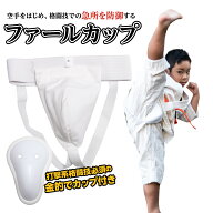 空手 ファールカップ 金的 サポーター カップ付き 定番 練習 テコンドー キックボクシング 急所ガード 防…