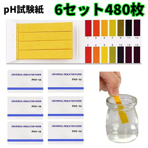 pH 80 6Zbg 480 e  g}X g}X eXgy[p[ y[n[ nt ڈ\ ȈՑ   Mы  ANAE  A ڈ v[