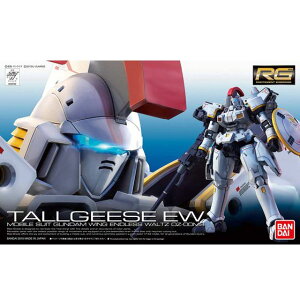o_CXsbc 1/144 RG 28 g[MX EW(V@LK_W Endless Waltz)