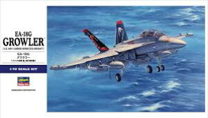 nZK 1/72 AJCR EA-18G OE[ vf E38