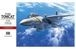 nZK 1/48 AJCR F-14A gLbg vf PT46 퓬@ XP[f