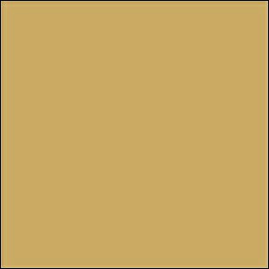 GSINIX Mr.J[Xv[ ^ S44 NIX h