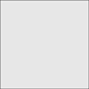 GSINIX Mr.J[Xv[ X[NO[ S101 NIX h