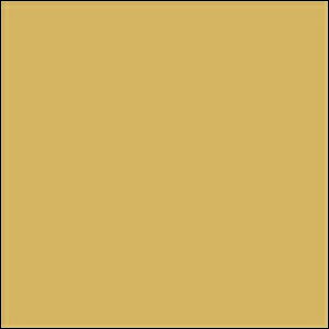 GSINIX K_}[J[ S[h GM04 NIX h