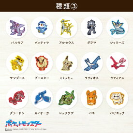 ポケットモンスターシールワッペン2