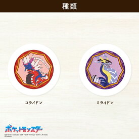 ポケットモンスタービックシールワッペン
