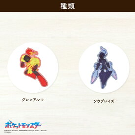 ポケットモンスターシールワッペン