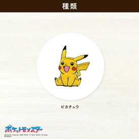 ポケットモンスターシールワッペン1