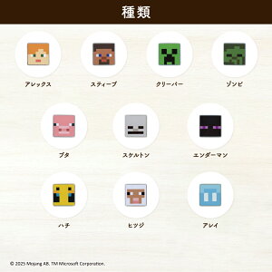 MINECRAFT@{^i2j