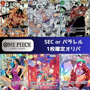 ySEC or p1m蕕z V[Nbg or p 1  SR ȏ 4mIp@s[X@㌈@ȓG@d̉@V̎@ARNV 500N̖