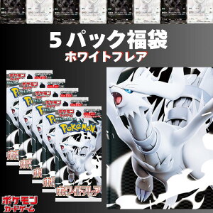 ypbNv[gLy[JÒzzCgtA 5pbNm { SRȏ1 |PJ[h1mI@Ip@|P@C[uC@[N@V