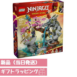 S(LEGO) jWS[ hSXg[̑  ߋ v[g a ubN NX}X j̎q ̎q q ΐ {bg 71819 MtgbsO