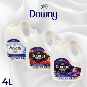 _Ej[ AWA_Ej[ 4.0L _ _  e xgi_Ej[ Ih[vxV lPApbV ~XeBbN lPA ~XeB[N Downy t̏_ 4000ml