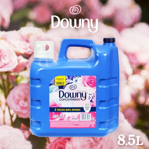 _ LVR_Ej[ A}t[ 8.5L Zk Zk^Cv _ _Ej[ downy e {   {g h[ t t̏_ _