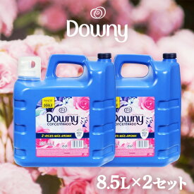 【2個セット】ダウニー メキシコダウニー アロマフローラル 8.5L 送料無料 非濃縮 非濃縮タイプ 2本セット 柔軟剤 ダウニー downy 大容量 本体 特大 洗濯 ボトル ランドリー 液体 液体柔軟剤 洗濯柔軟剤 セット【D】