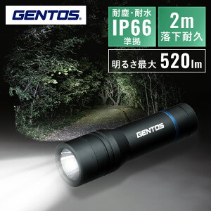�o�C�N���C�g ����25km/h�ȏ� �u���b�N AXS-01R�o�C�N���C�g �W�F���g�X GENTOS LED �[�d�� ���`�E���C�I���d�r 1500���[���� �h���� IPX5 ����25km/h�ȏ� AXIS