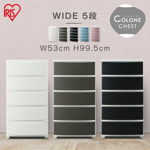 `FXg k  5i [{bNX 53 CLN-545[P[X o vX`bN  Rl`FXg [ ^X Ch`FXg Vv rO ߗރP[X zCg u[ u