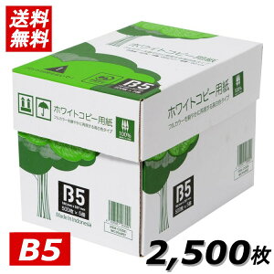 Rs[p B5 2500 APP  F zCgRs[p B5 Fx93% 0.09mm 2500i500×5j WC904PEI Rs[ p p Օi