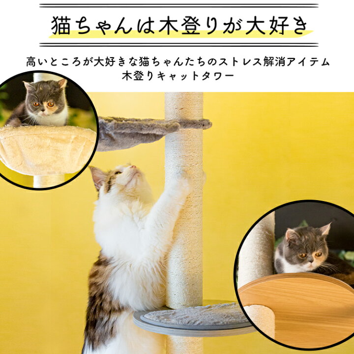 楽天市場 木登りキャットタワー Kcct 244送料無料 キャットタワー 猫タワー 突っ張り キャットランド キャットポール 猫ツリー 木製 省スペース 爪とぎ 多頭飼い ナチュラル Na グレー Gy D ホビーとおもちゃのほびたま