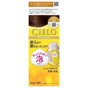 ���[�X�J���[ �w�A�J���[ �z�[���[ �V�G�� CIELO �������� ���[�X �����v�b�V�� �A�b�V���u���E�� �t���[���� hoyu �A�b�V���u���E�� ���Ȃ薾�邢�L���������u���E�� ��薾�邢�s���N�u���E