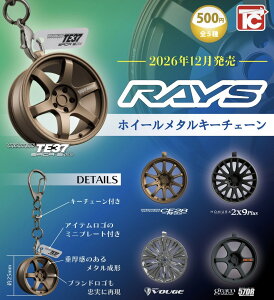 �y12���\��zRAYS�z�C�[�� ���^���L�[�`�F�[�� �S5��R���v���[�g�Z�b�g �K�`�� ��������