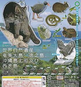 y[izlC`[eNjJ[ ERY 哇AVA꓇kyѐ\AN}XRbg S8 Rv[gZbg K` 