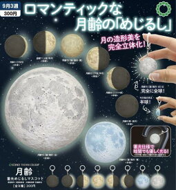 【9月予約】STC 月齢 蓄光めじるしマスコット 全8種 コンプリートセット ガチャ 送料無料