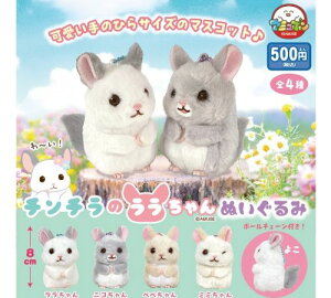 y3\z``̃ʂ S4 Rv[gZbg K` 