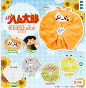 y3\zƂƂnY ӂӂVV S5 Rv[gZbg K` 